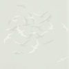 Larina 216580